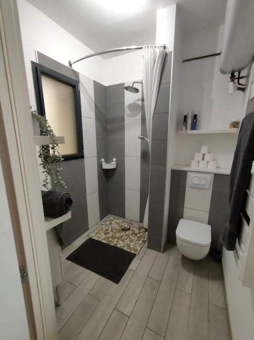 Apartament Patio Cosy Thizy-les-Bourgs Zewnętrze zdjęcie